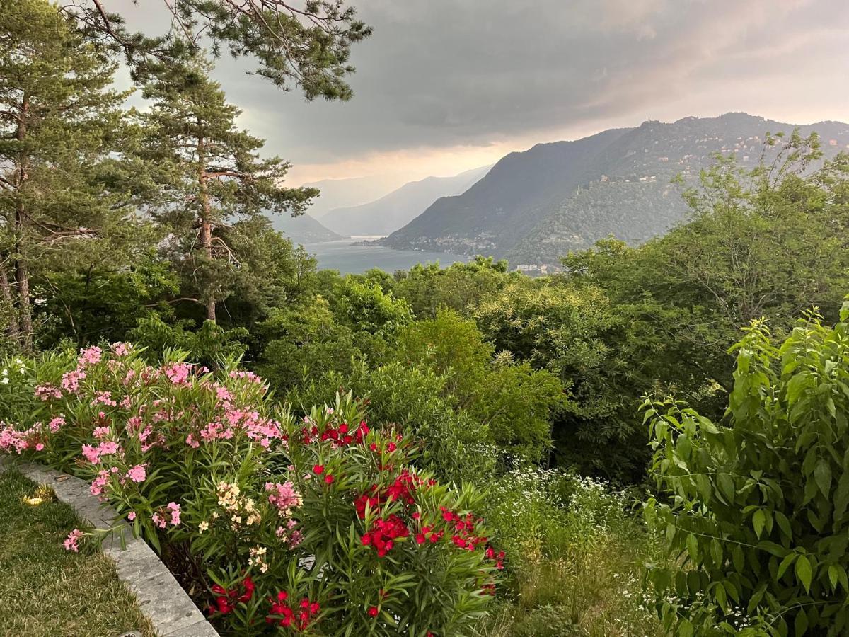 Studio - Villa Cardano Como Exterior foto
